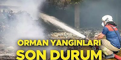 Kahramanmaraş ve Denizli yanıyor! Yangın çok genişlediği için  söndürülemiyor...