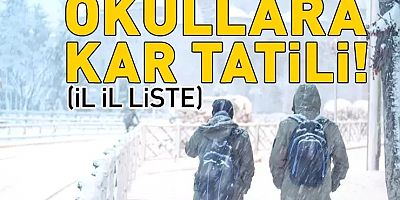 Kar engeli! Okullar hangi illerde tatil? Gümüşhane, Ordu, Nevşehir, Adana, Kayseri, Sivas, Hakkari...