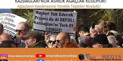 Ağaç Kıyımı! Kazdağları’nın eteklerindeki asırlık ağaçlar neden kesiliyor? 