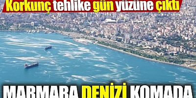 Marmara Denizi neden komada?