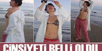 Neslihan Atagül bebeğinin cinsiyetini yurt dışında açıkladı