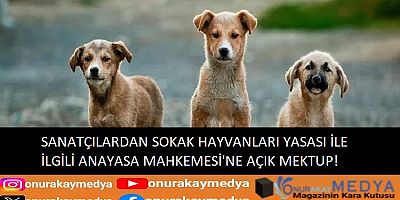 Sokak hayvanları yasasının iptali için Anayasa Mahkemesi’ne seslendiler!