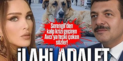 Seren Serengil’den hayvan yasasına onay verenlere beddua