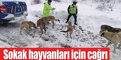 Sokak hayvanları için örnek proje ve iş dünyasına çağrı!