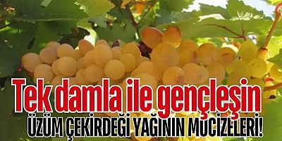 Üzüm çekirdeği yağının şaşırtıcı faydaları: Cilt, saç ve sağlık için doğal çözüm