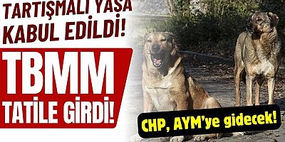 Yasalaşan sokak hayvanları düzenlemesi ile ilgili flaş gelişme!