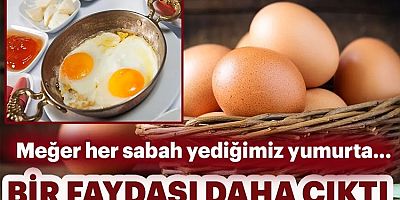 Yumurtanın yeni ortaya çıkan faydasına şaşıracaksınız!